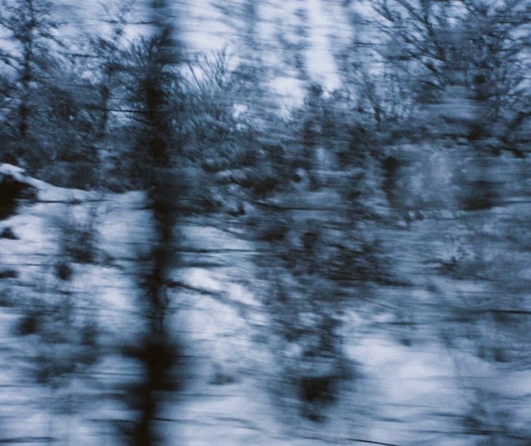 sahar🦉 tweet media