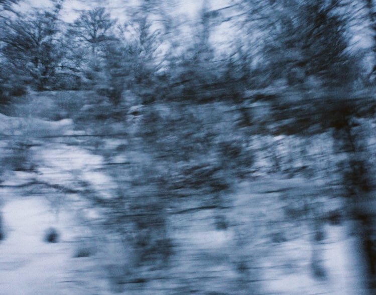 sahar🦉 tweet media