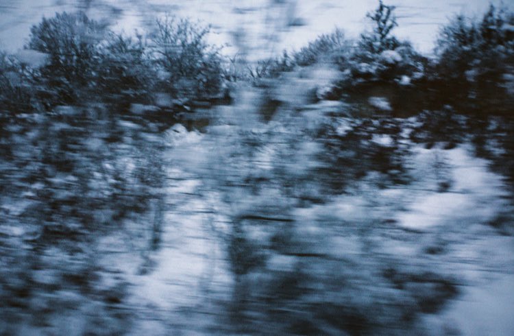 sahar🦉 tweet media