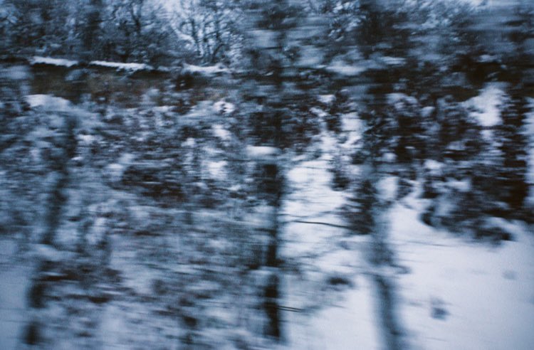 sahar🦉 tweet media