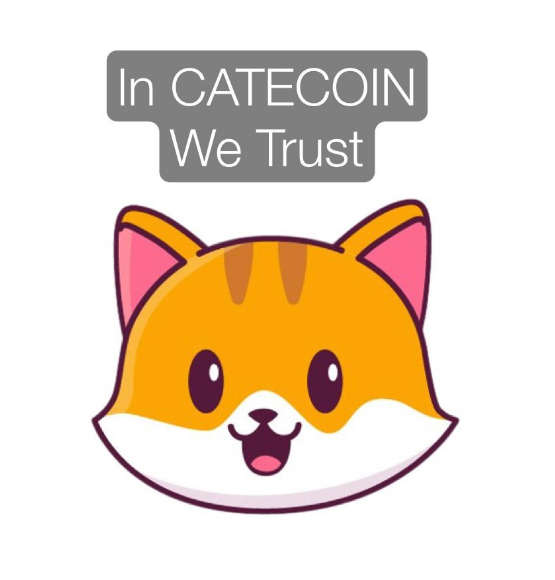 catecoin's tweet photo. Stick to the fight!
-In the upcoming bull #Catearmy we are going to delete 3 to 4 zeros.🚀🐱
-Soon you will see an influx of investors in our projects #Catecoin and #Catpay.🐈

#web3 #play2earn #memecoin #GameFi  #nfts #BSCGems #launchpad #wallet https://t.co/4bbwjgXWFW