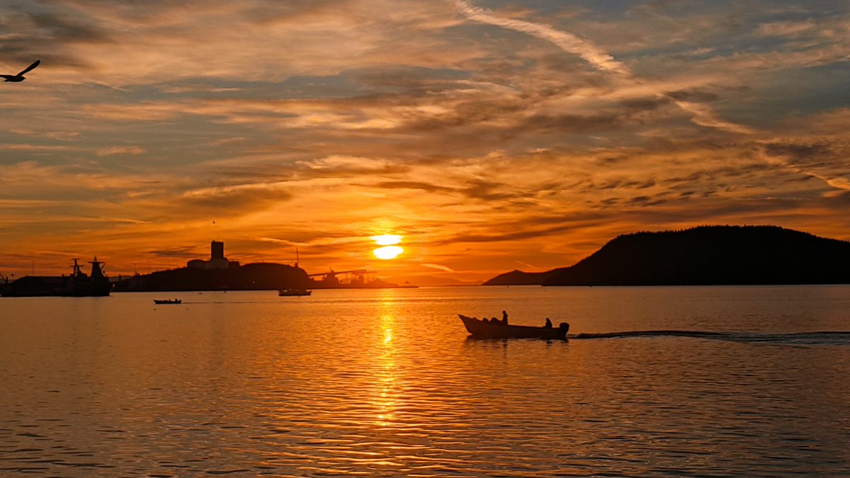 ceszar_ramos's tweet photo. #Guaymas #Sonora https://t.co/9omrqAmwOC
