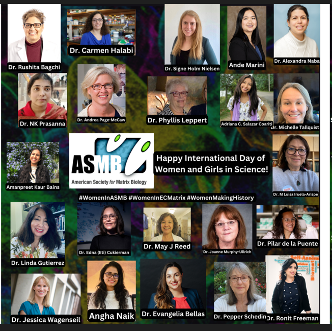 Happy #internationalwomenandgirlsinscienceday 
We all must invest in recruiting, supporting and promoting #WomenInSTEM 
Thank you @AmSocMatBio for this great initaitve. Together - we are indeed stronger and can make a differnece  #WomenInASMB #WomenInECMatrix #WomenMakingHistory