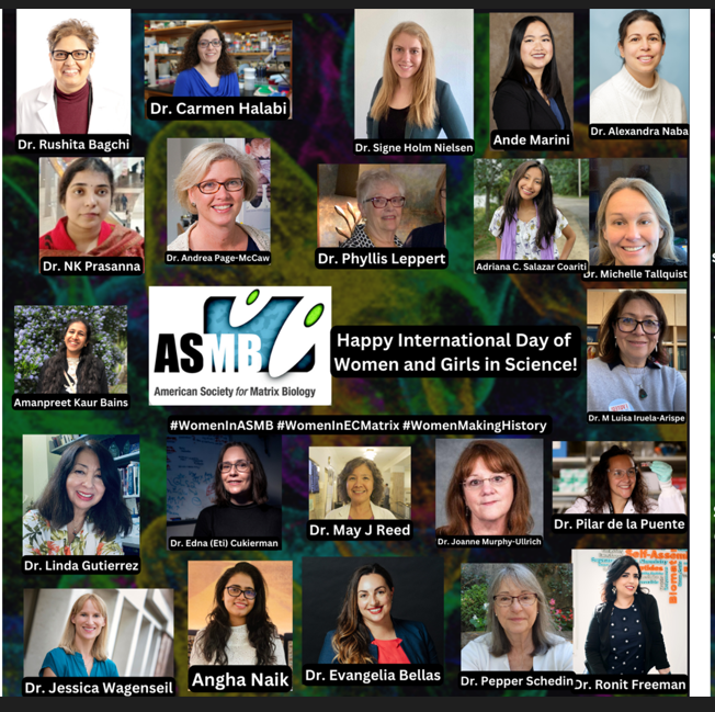 RFreeman_Lab's tweet photo. Happy #internationalwomenandgirlsinscienceday
We all must invest in recruiting, supporting and promoting #WomenInSTEM
Thank you @AmSocMatBio for this great initaitve. Together - we are indeed stronger and can make a differnece #WomenInASMB #WomenInECMatrix #WomenMakingHistory https://t.co/qux7r0DNSf
