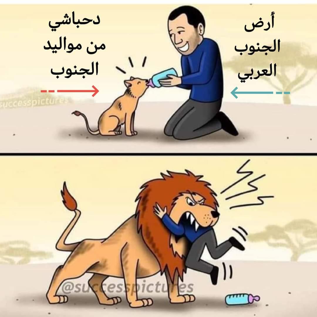لمن يفهمهااااا ؟!!👇