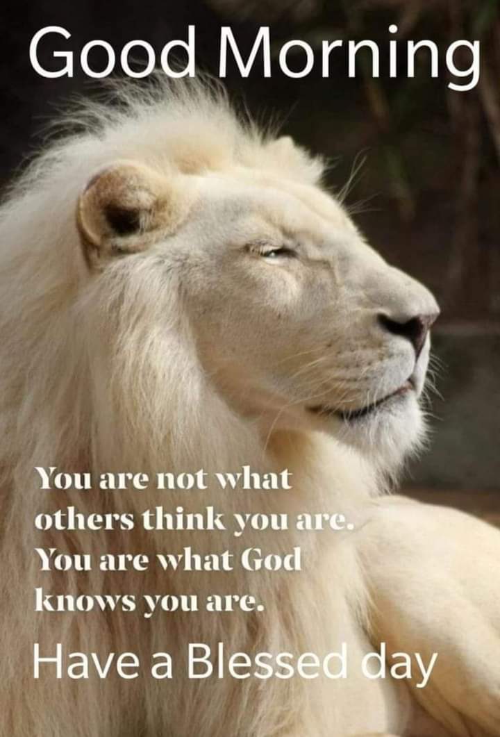 MdptrpScience's tweet image. music.youtube.com/playlist?list=…

reverbnation.com/mdptrp

9049901797
Mdptrp.holistic@yahoo.com 

Social distancing has been around before I was born.  The desensitized public allows horror and gang music. This is why your daughters are loose.