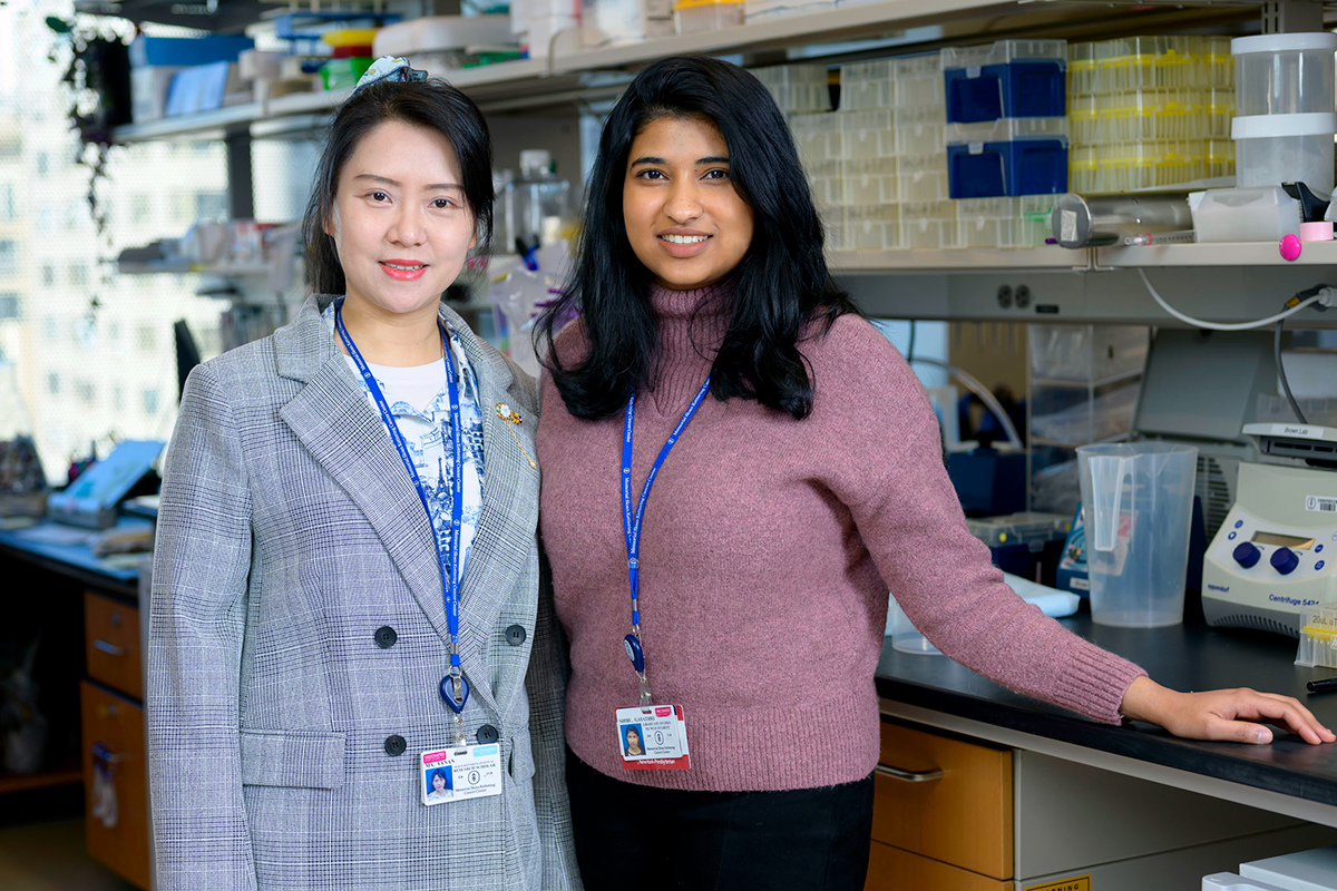 Memorial Sloan Kettering Cancer Center (@mskcancercenter) on Twitter photo Today we join <a href="/theNCI/">National Cancer Institute</a> in celebrating International Day of Women and Girls in Science!
<a href="/YananMa6/">Yanan Ma</a> & <a href="/ShibuGayathri/">Gayathri Shibu</a> were just named 2023 Kravis WiSE fellowship winners, and will present at our upcoming symposium: mskcc.org/wise-2023
#WomenInScience #February11 Today we join <a href="/theNCI/">National Cancer Institute</a> in celebrating International Day of Women and Girls in Science!
<a href="/YananMa6/">Yanan Ma</a> & <a href="/ShibuGayathri/">Gayathri Shibu</a> were just named 2023 Kravis WiSE fellowship winners, and will present at our upcoming symposium: mskcc.org/wise-2023
#WomenInScience #February11