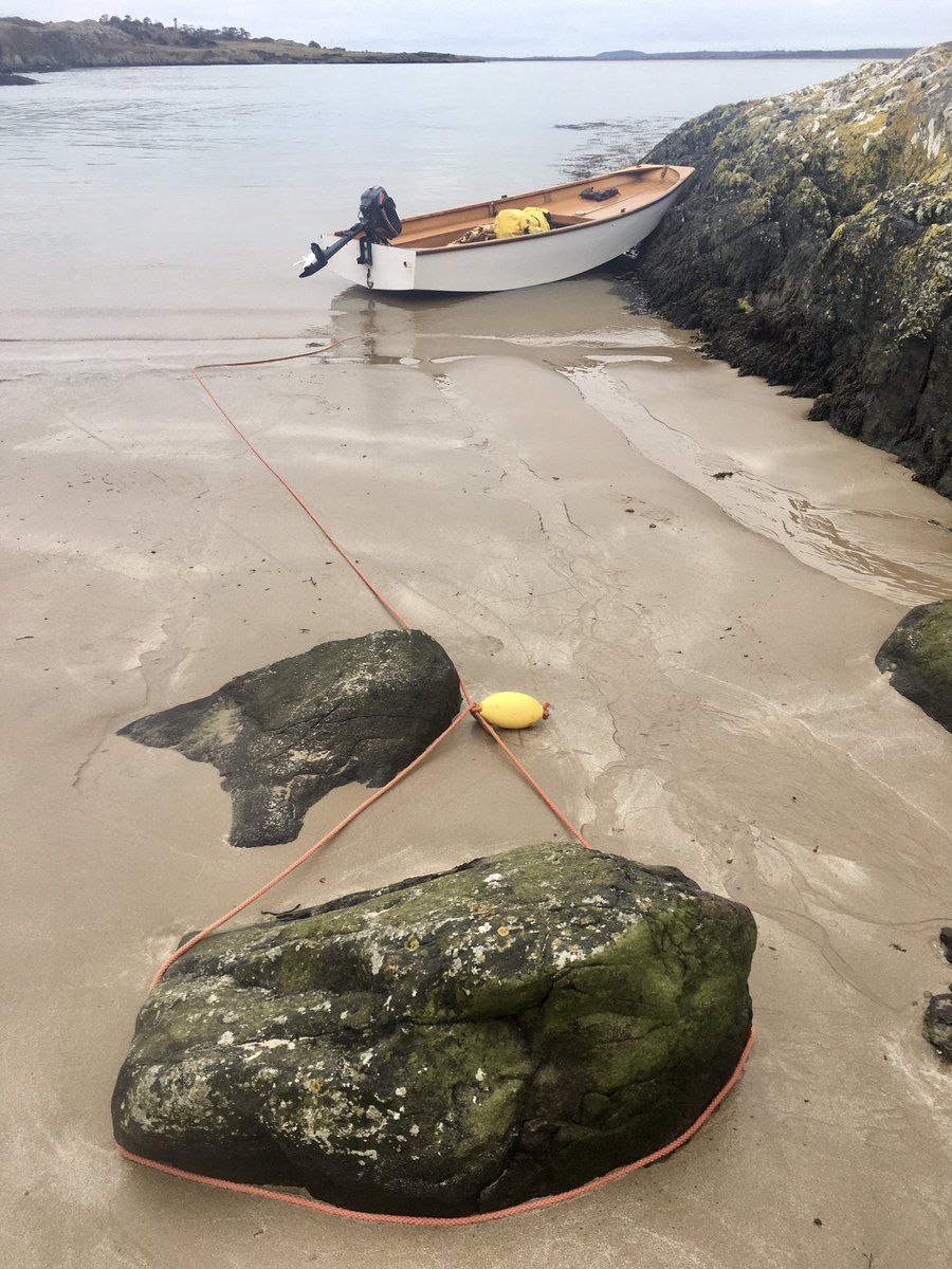 Nice morning on the estuary #anglesey