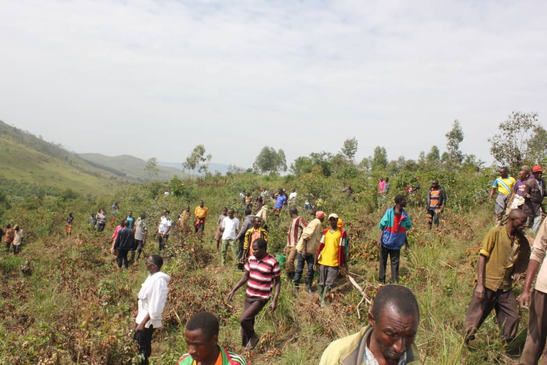 rutanacnddfdd's tweet photo. #Burundi kuruyu wa 11/2/2023 mu ntara ya Rutana abagumyabanga bo muriyo ntara bifatanije nabandi bene gihugu bo mu makomine ya Musongati na Rutana aho bari baramutse batera ibiti ku mutumba wa Bugunga uri muri Komine Rutana.@nancymutoni @CnddFdd https://t.co/nCb136irc9