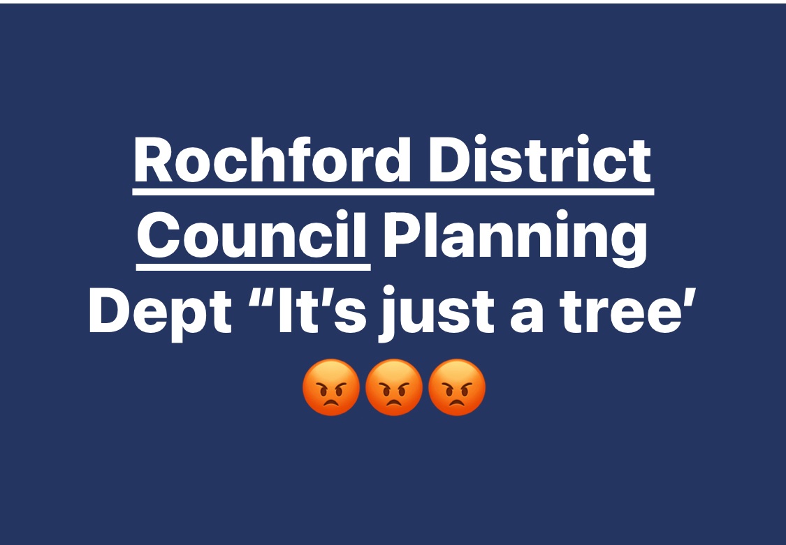 holt_farm_oak's tweet photo. Surely not an acceptable attitude for a council to have, when talking of the imminent destruction of a 150 year old healthy oak tree for profit? 😡@theTCPA @RochfordDC @WoodlandTrust @TheTreeCouncil @treesforlifeuk @ChrisGPackham 
@nationaltrust @BloorHomes https://t.co/EQoEH5CoJe