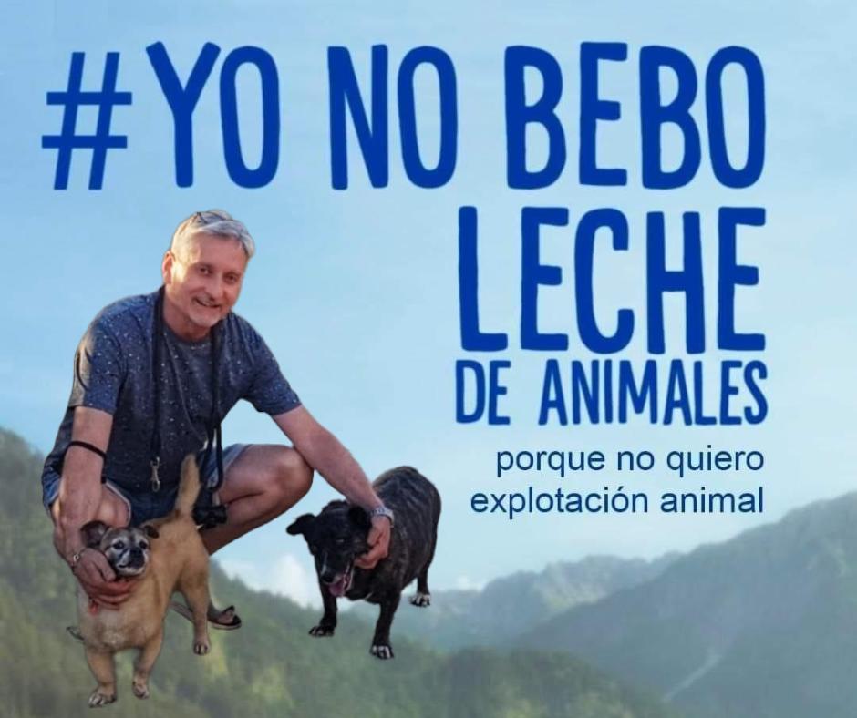 No bebas leche de animales, detrás de la leche hay un infierno: explotación, esclavitud, crueldad, violación, abuso y al final asesinato de las vacas cuando ya no son rentables
La industria láctea siempre te oculta la realidad. Infórmate!
#yonobebolechedeanimales