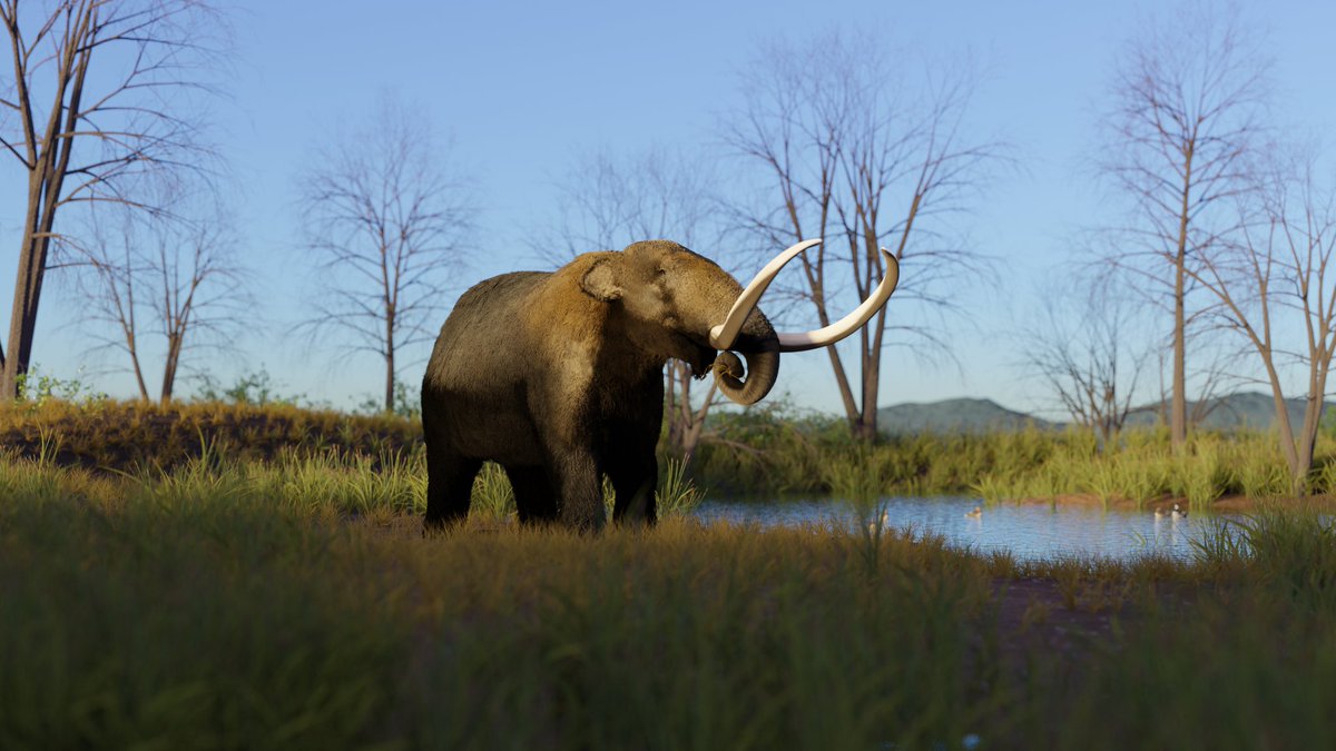 XtinctDesign tweet media