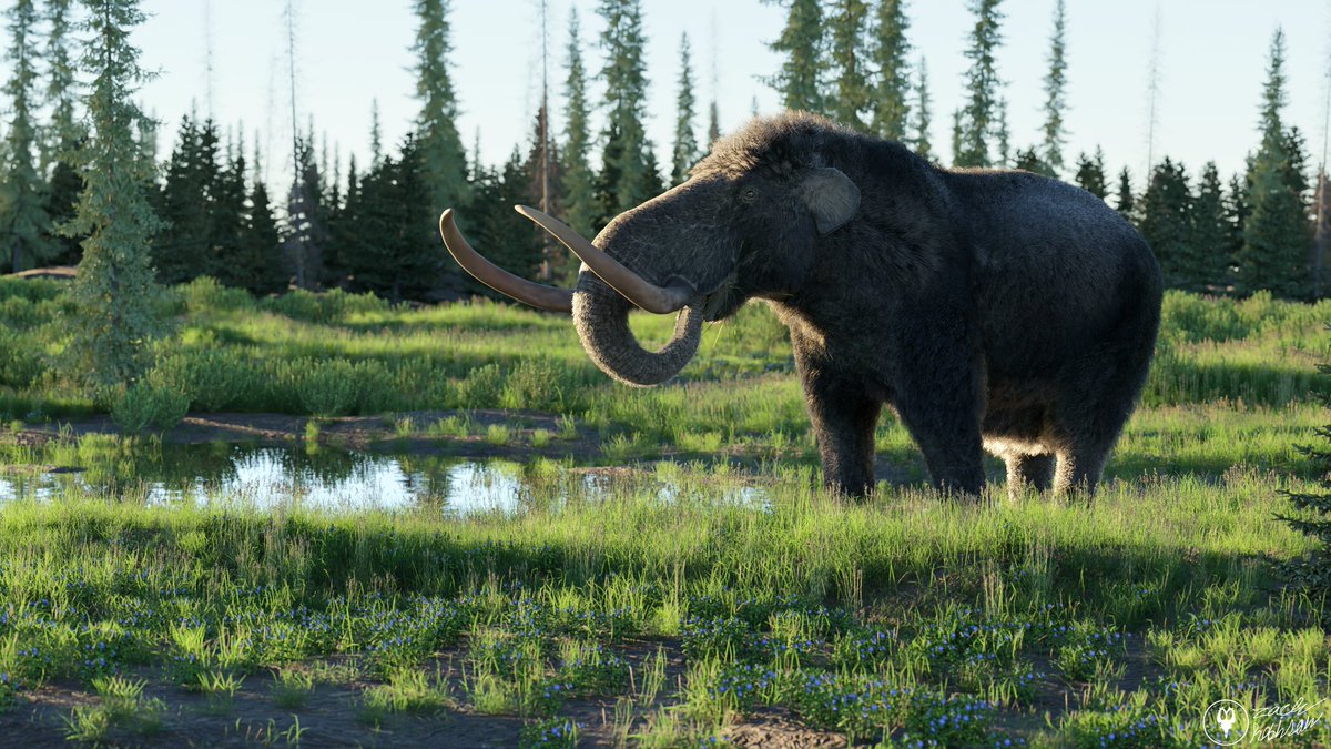 XtinctDesign tweet media