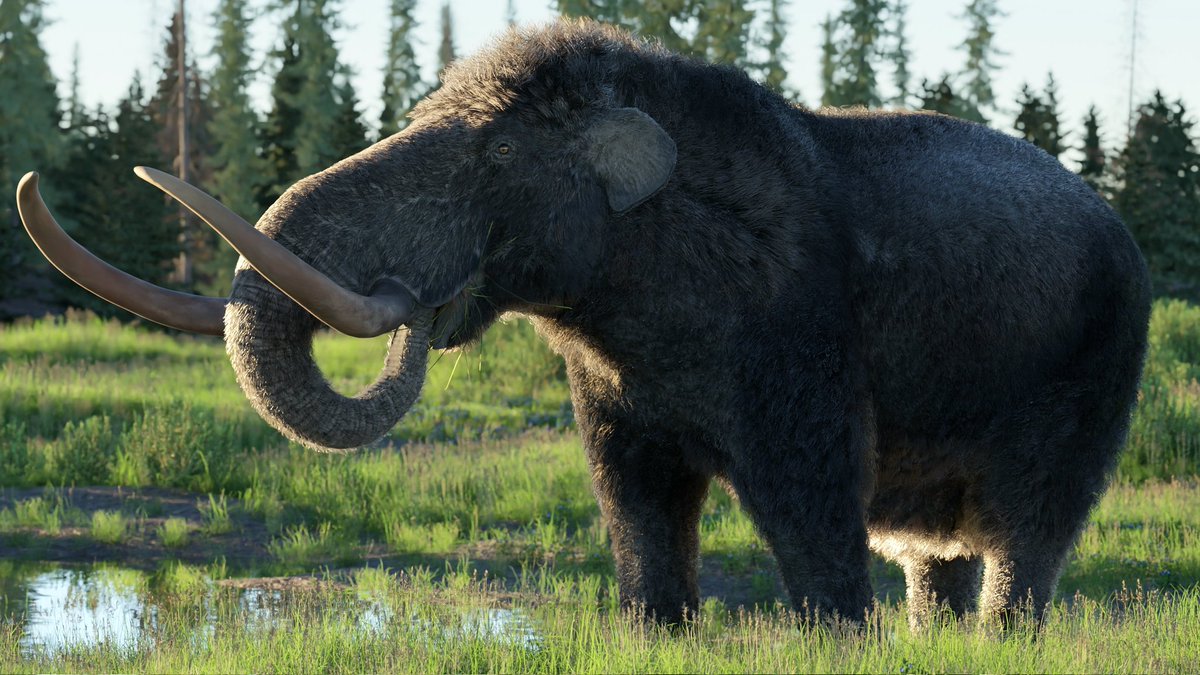 XtinctDesign tweet media