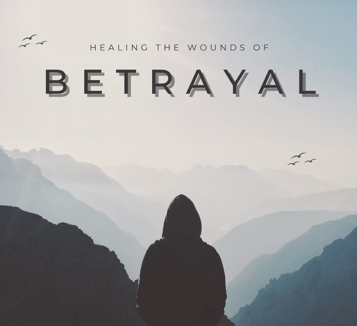 Springcreek Church tweet media