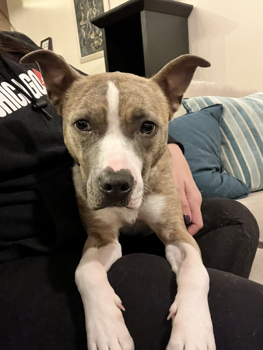 Aussieshell4 tweet media