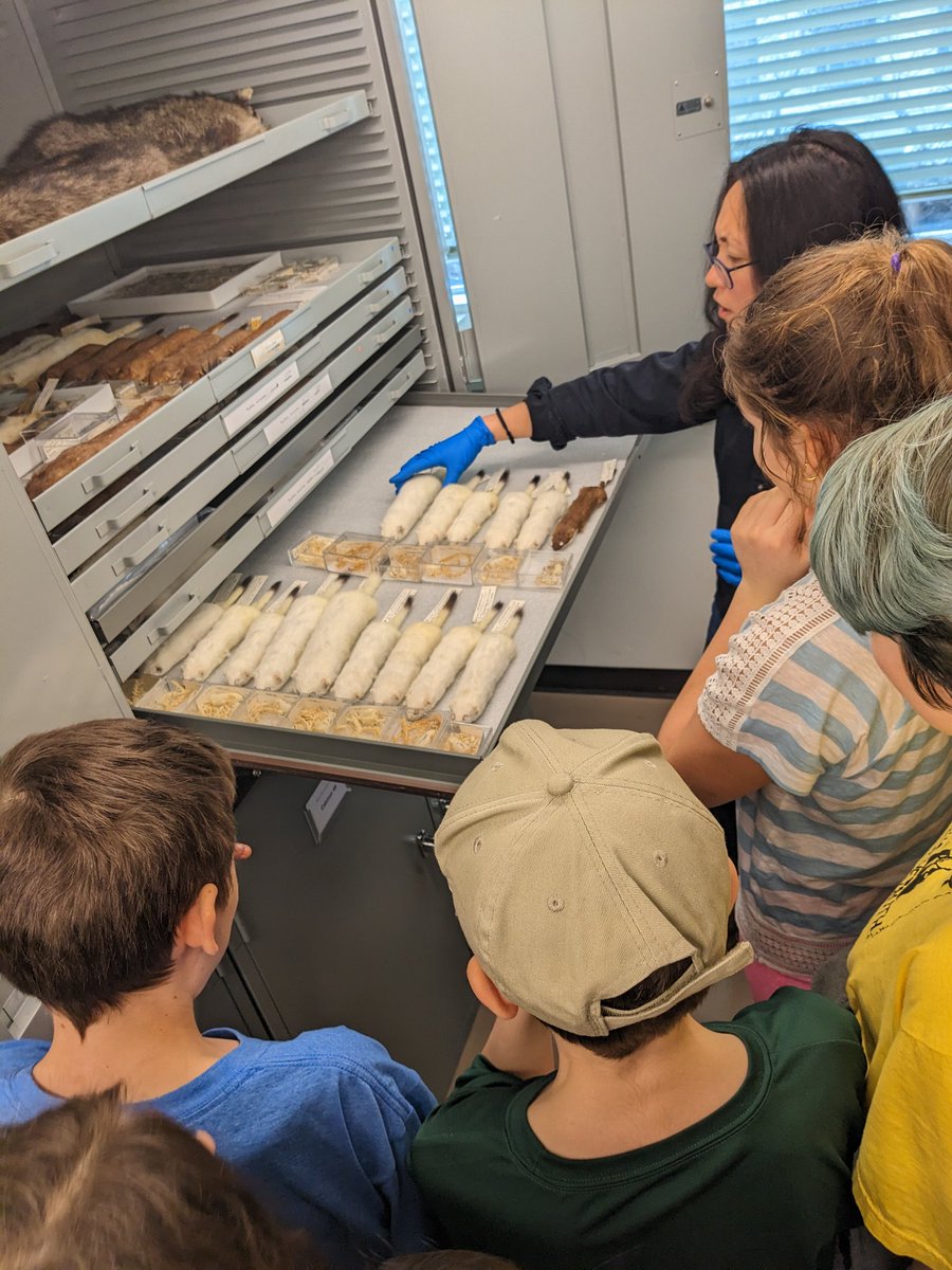 visii_school's tweet photo. The learners took an inspiring and fascinating trip behind the scenes of the @RoyalBCMuseum yesterday! A huge thanks to the collections managers who showed us around. I think you might have inspired some budding zoologists in our class 😉🌱 https://t.co/cY0WpkGiEd