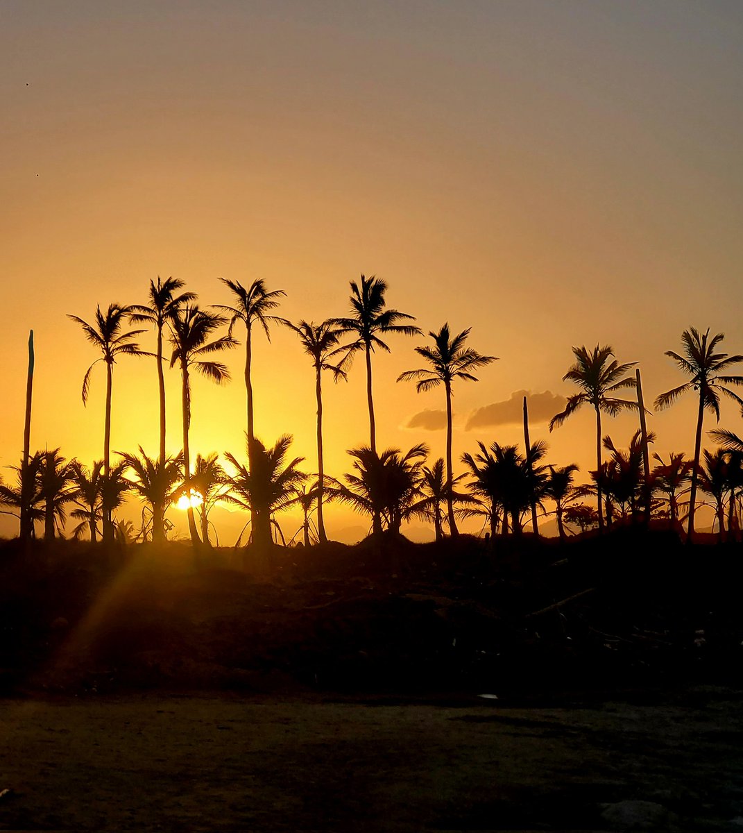 WJaroslawski's tweet image. Happy Monday Folks.

Some #PuntaCana snaps for you to add some light to your day.

Big Day for @DarkZeroGG
Let's GittER Dun Boyz!

#DarkZero 

#dominicanrepublic #Beach #BeachLife #sunset #sandybeach #sightseeing #sunsets #nightphotography #Photographer #photography