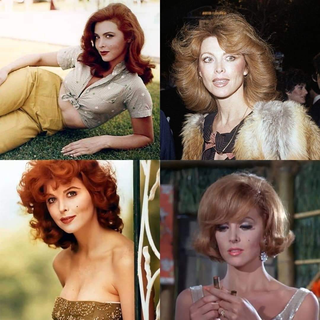 Happy birthday Tina Louise!   