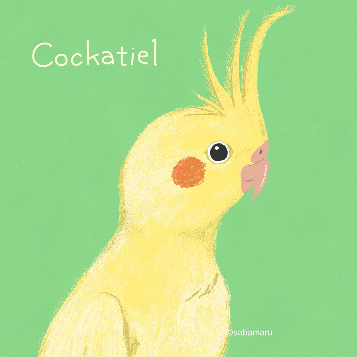 タグ企画 #一次創作絵師拡散フェス03 に参加します！

動物のなかでも鳥が好きなので
たまに野鳥観察にでかけたります😊🦆