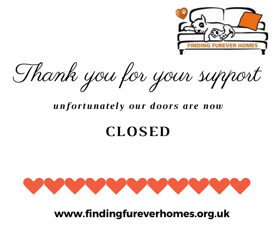NWDogRescue's tweet photo. Thank you for your very welcome support over the years, everyone who has shared, donated, home checked, transported, fostered or adopted - we are very grateful for your contribution - you rock π§‘
With much love
Andrea xx #teamFFH https://t.co/y1TerlKFZb https://t.co/TI1uQgOibt