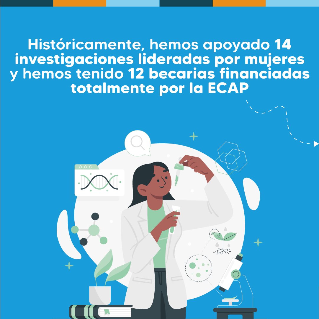 fonag's tweet photo. ¡La ciencia no tiene género!

La Estación Científica Agua y Páramo-ECAP, iniciativa de @aguadequito y #FONAG, se enorgullece de apoyar y aportar a la investigación de mujeres en diferentes ramas científicas. 

#MujeresEnLaCiencia https://t.co/IzFFsaAvks