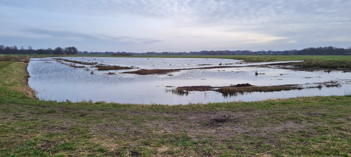OebleBouma's tweet photo. Vandaag een #DBOtsje van 25 km gedaan. De snerttocht vanuit #Mûnein. Via #Grikelân, #Turkije, #Reatsjerk, #Oentsjerk, #Ryptsjerk ensf.
Mooie tocht. Mooi weer. https://t.co/fItrJMkL5N