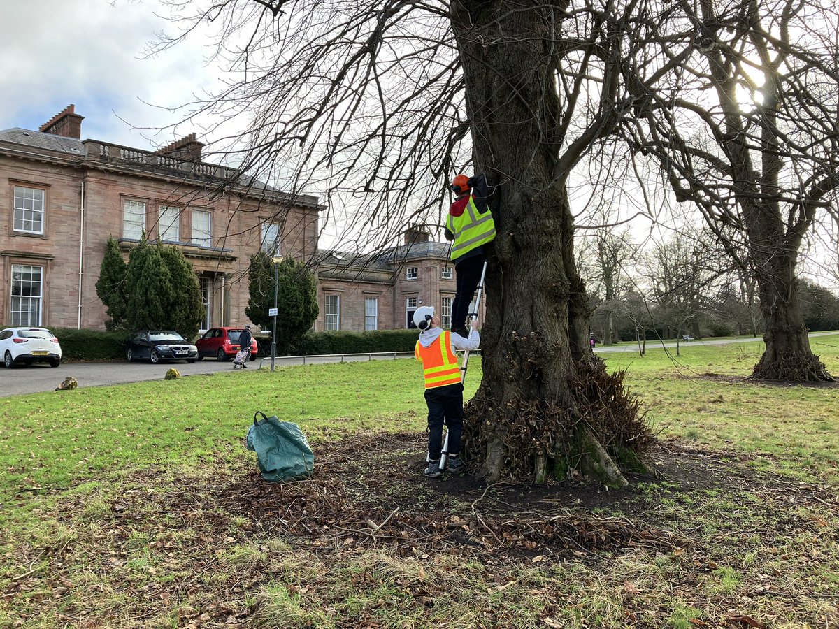 Can you spy the locations of all the boxes? For all bird enthusiasts, keep your eyes peeled for more FOKP burdy activity to take place later this year 👍🏼🦜