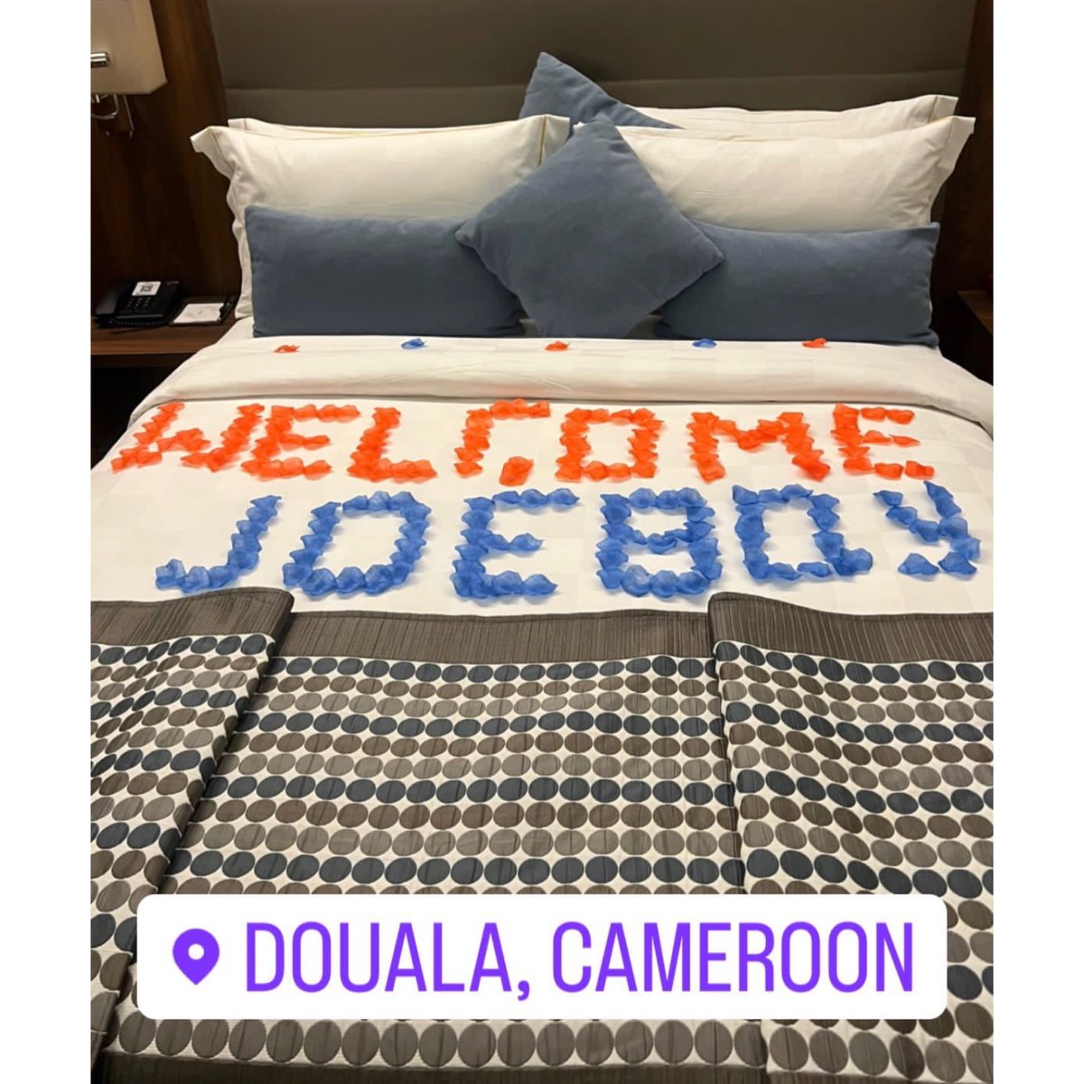 DCODED TV Show tweet media