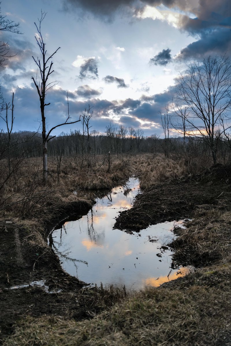 Love this shot that I took yesterday with my #LeicaQ2 by <a href="/leica_camera/">Leica Camera AG</a> #landscape #landscapephotography #WinterVibes