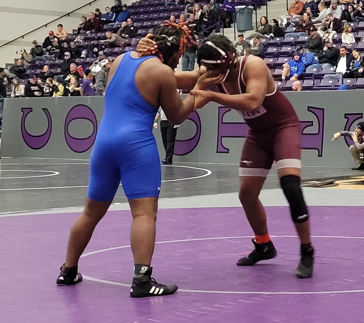 Charissa E. Harrison tweet media