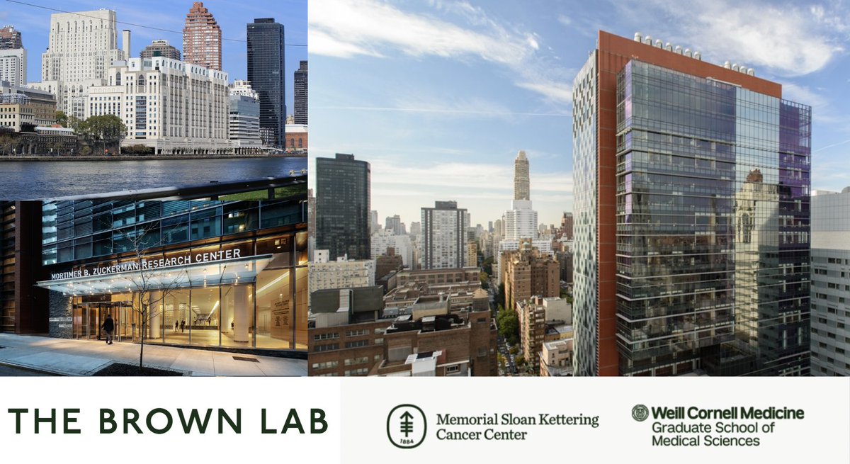We are hiring - postdoc positions available! If you are interested in joining a highly collaborative and supportive team to study immune tolerance, host-microbiota interactions and early life immunity, see link below for details! Please RT!
thebrownlaboratory.com/contact
