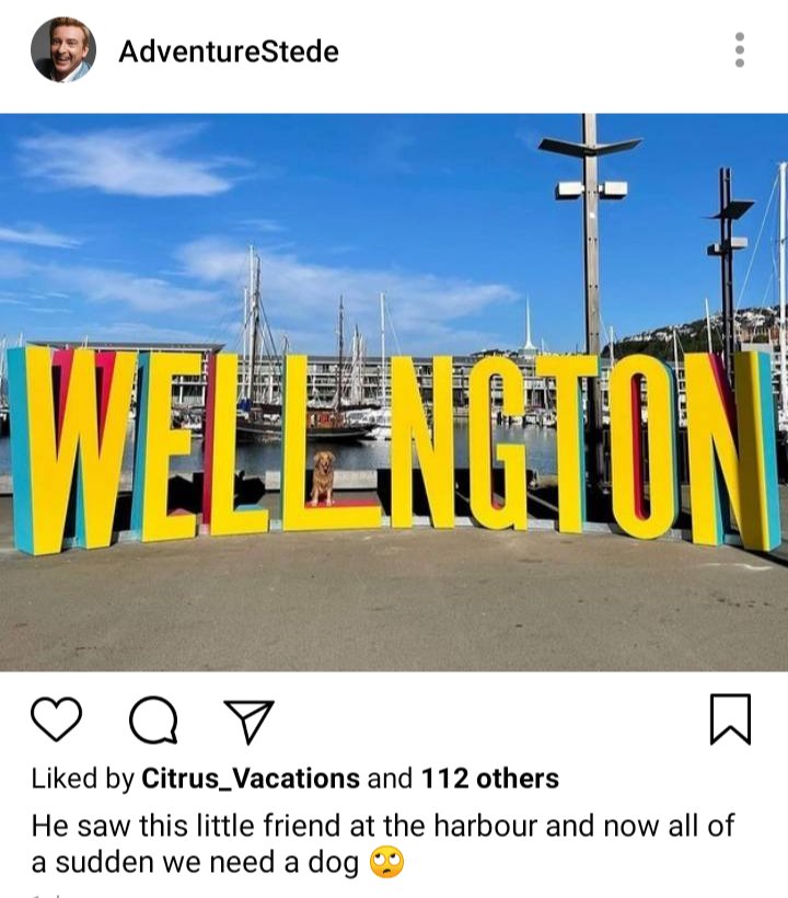 Stede's IG. Photo of Wellington sculpture at the Wellington harbor. Caption reads "he saw this little friend at the harbour and now all of a sudden we need a dog 🙄z