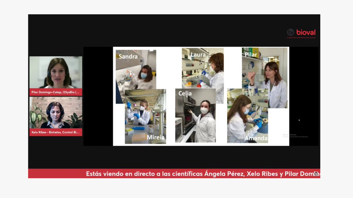 pilardomingoc's tweet photo. Esta semana #NiñayMujerCiencia #11F2023 en el #EnBiVirLab hemos participado en múltiples eventos para mostrar que las mujeres científicas estamos al pie del cañón!  @sandraa_ac @lauragadeap @CeliaFerriolG @mire_bg @AmandaMrtnzG 
Gracias a @BIOVAL_es @CdCienciaUV y @CSICval! https://t.co/TQzKWTq6ak