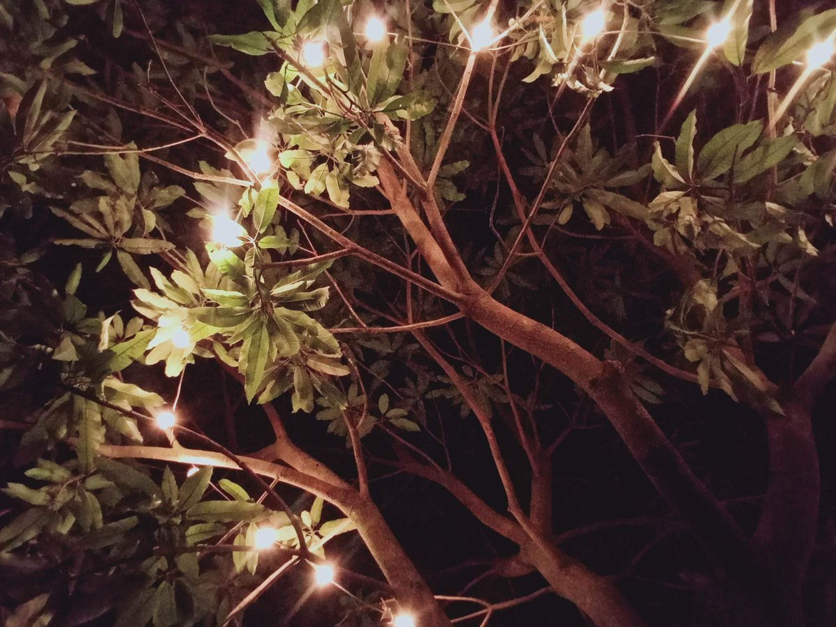 Have a goodnight 💓