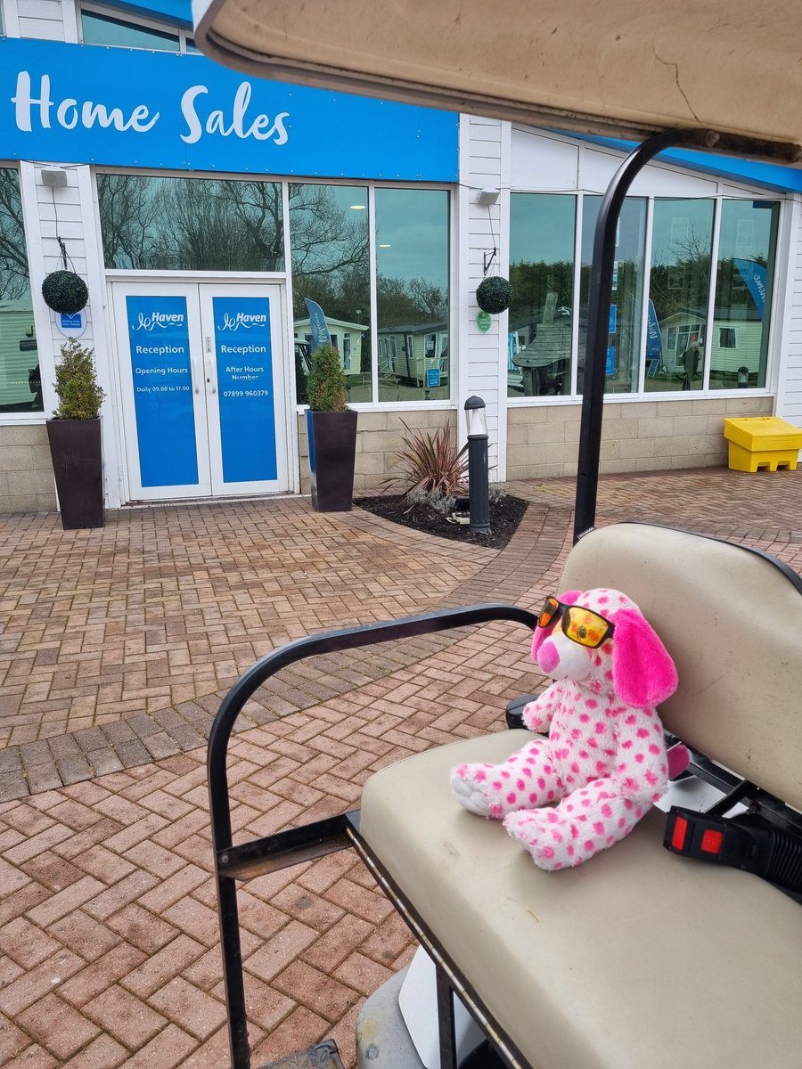 sarjeantm01's tweet photo. Popped down to @haven #Burnhamonsea today to check our caravans and while here dottie wanted to have a tour on the golf buggy and look at all the caravans for sale.... the sales and aftercare team are amazing 👏 treated us to chip cobs and coffee for lunch #newcaravan #happyplace https://t.co/gCw9UWYQcu