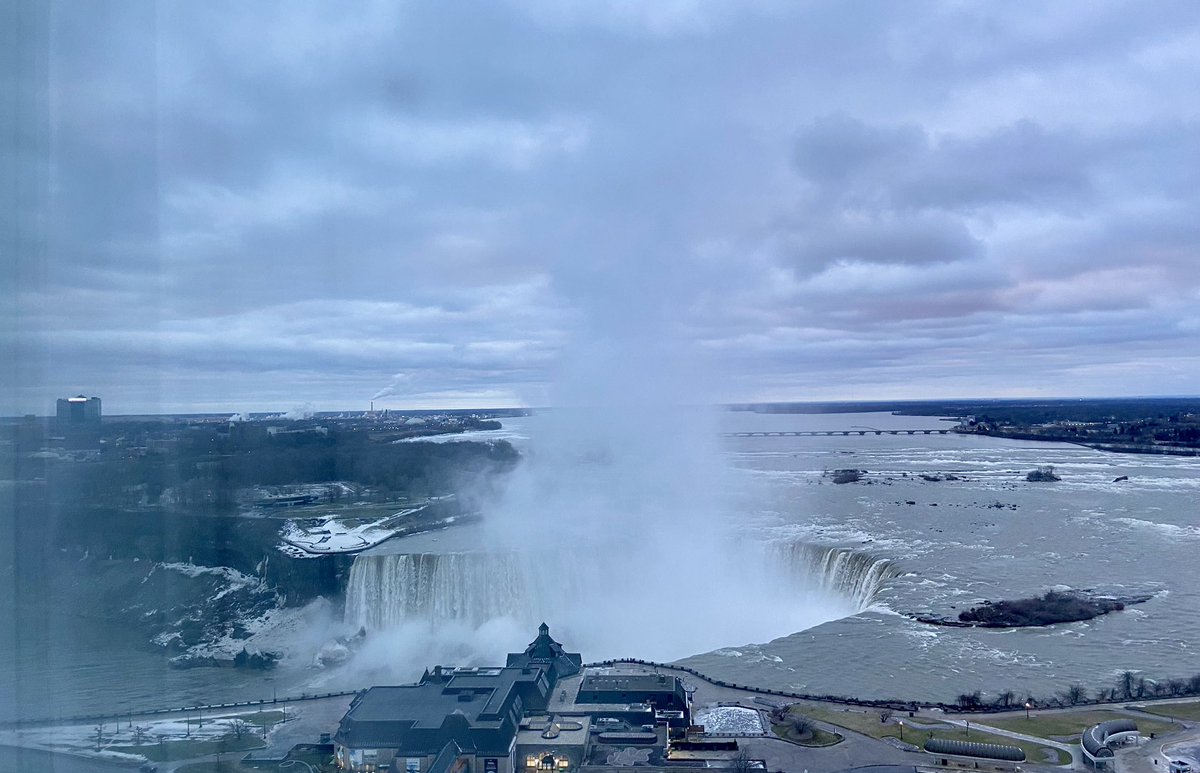 Dr Rita Melia tweet media