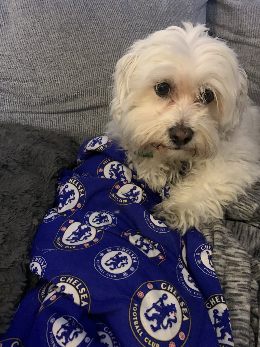 #MyPLMorning COYB #CHEWHU @ChelseaFCinUSA