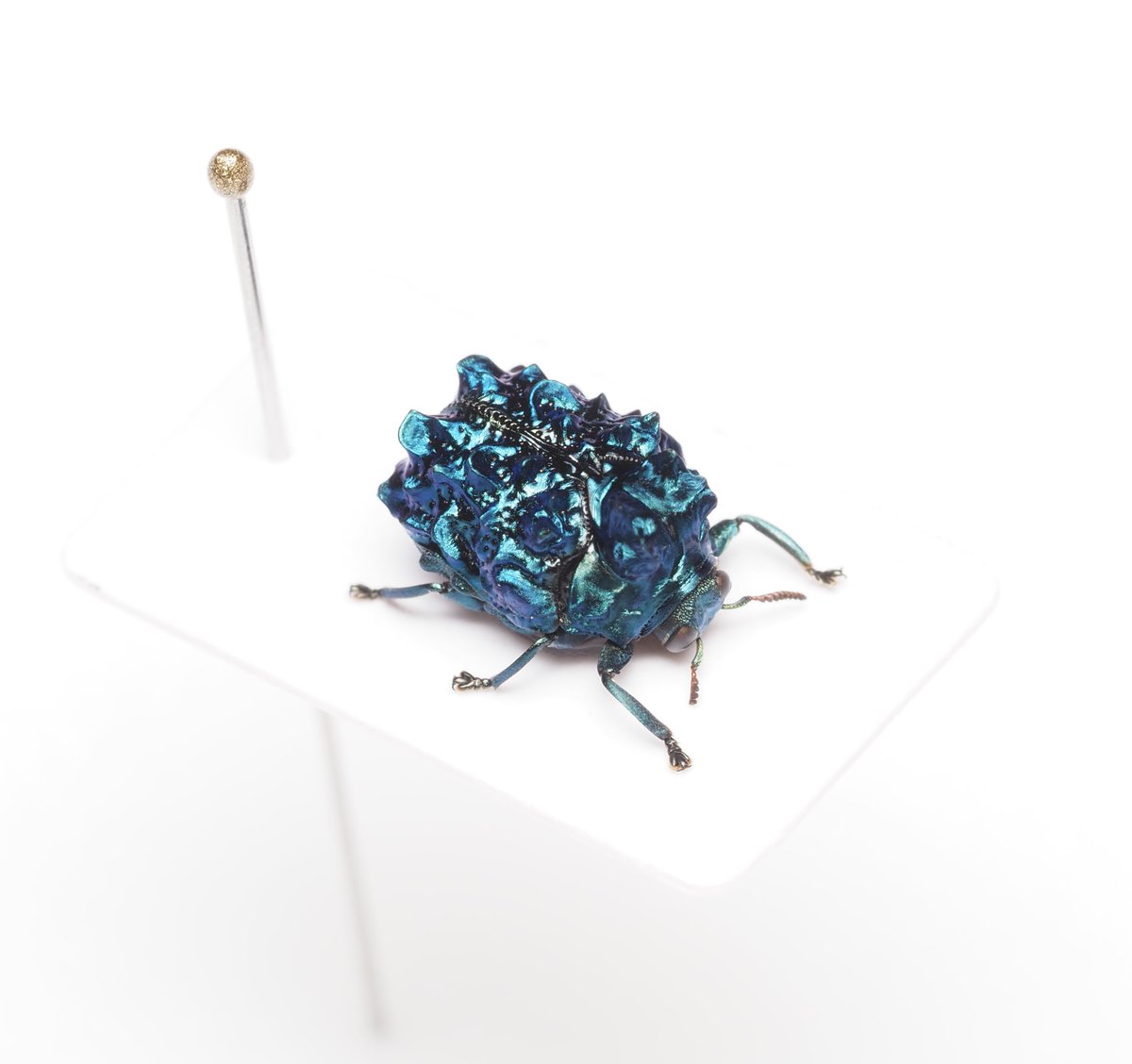 FosJoeTaUAMjk6o.jpg?format=jpg