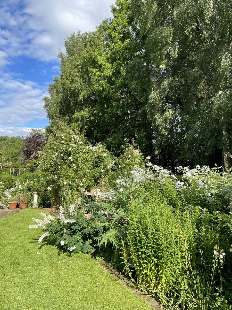 hilarywetherell's tweet photo. 🌸🌸🌸DATE FOR THE DIARY🌸🌸🌸 The beautiful gardens @wharfhousegrdnr will be open again this summer on Sat 1st and Sun 2nd July. And the teas will be epic. 😉 All proceeds to @NGSOpenGardens @WorcsNgs https://t.co/Bs3ipna5pW