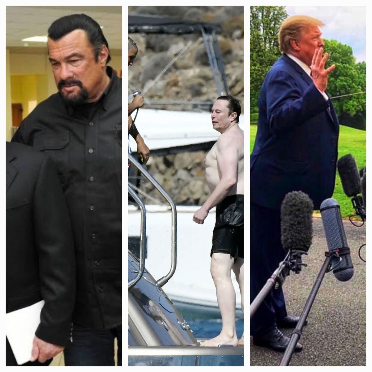 Nathanfalcone2's tweet photo. Can someone explain this to me?
#Segall #musk #trump #narcissism https://t.co/86CXgVzrMK