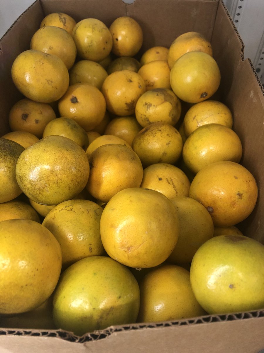 JMHertko's tweet photo. Great produce available for clients this morning at Boulevard Place Pantry https://t.co/UCAL2DfPAT