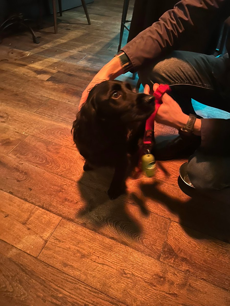 What a great night - space networking featuring the cutest dog. 🐶

Thank you to everyone who joined us for a fantastic evening and for <a href="/CWLSpaceCluster/">Cornwall Space Cluster</a> for sponsoring the event. Watch this space for details of our next networking events.