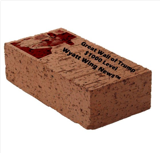 WyattWingNews tweet media