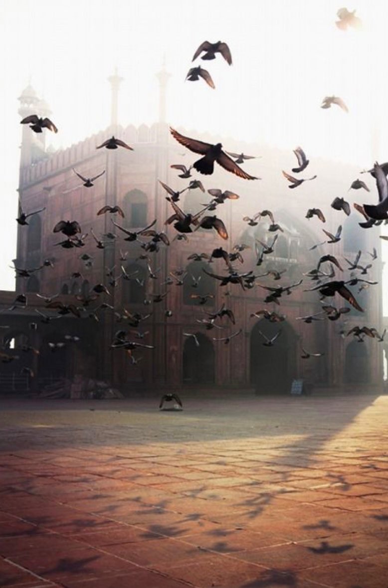 We are like birds sharing the same cage, singing the same song but in a different tone.
We are part of a whole. I do not care about your race, your politics, color or sex, because at the end of the day we all are the same.
Joy or pain do not know about languages or religion.©️®️
