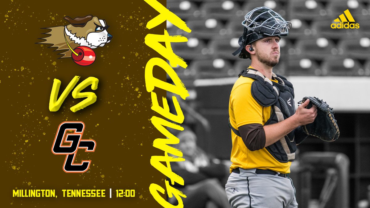 USFSaints's tweet photo. THE GOOSE IS LOOSE DOWN SOUTH

🆚: Georgetown College
⏰: 12:00
📍: Millington, Tennessee https://t.co/vs6ojZQXtl