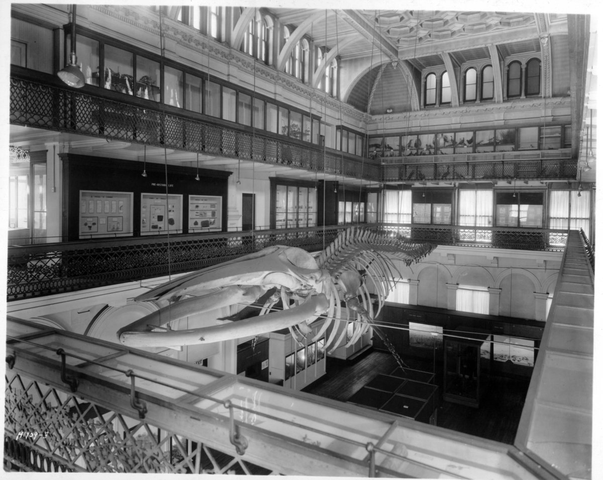 Museum of Science tweet media