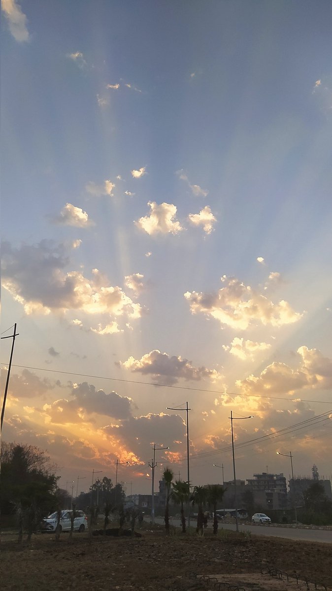 _simriti_'s tweet photo. #nature https://t.co/NNfW3c35fe