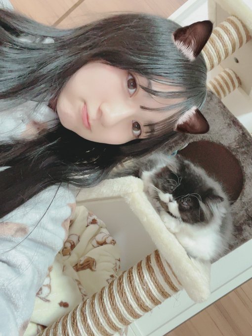 今村麻莉愛のTwitter画像7