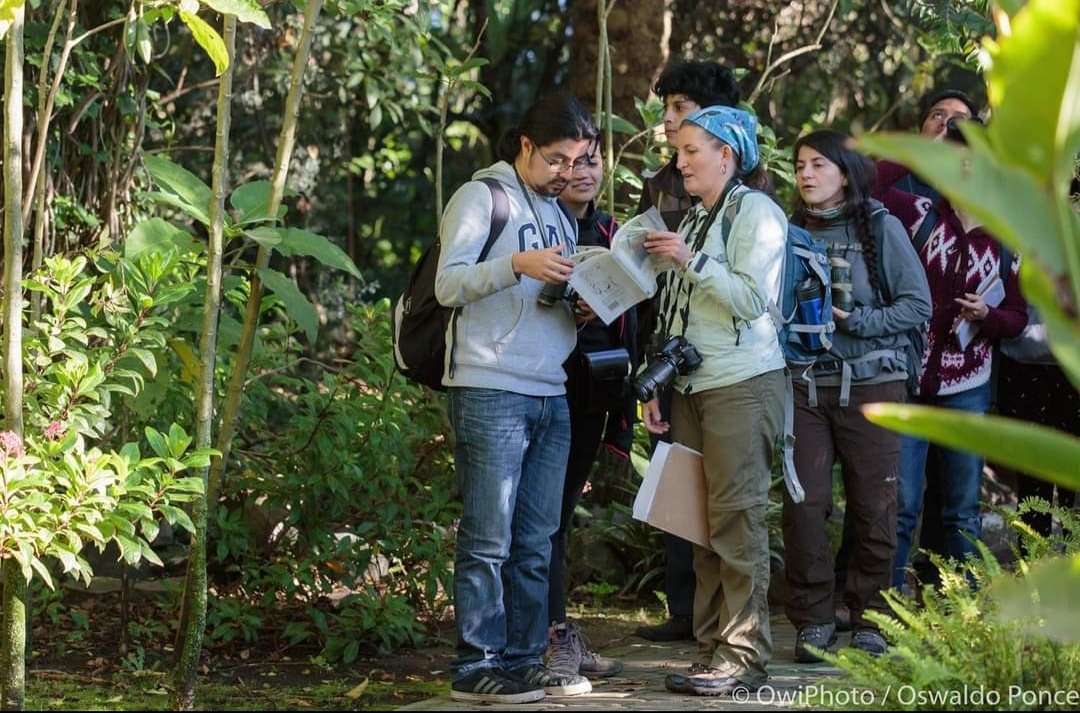 Sandy_ef's tweet photo. Celebramos el #DíaMujerYNiñaEnLaCiencia, desde hace 5 años trabajo con plantas nativas y aves, fomentando la recuperación de los espacios verdes urbanos.
¡Feliz día a las #MujeresEnCiencia !
#11FSTEM #WomenInScience https://t.co/LKor0zXai6